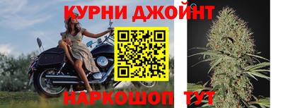 стаф Бердск