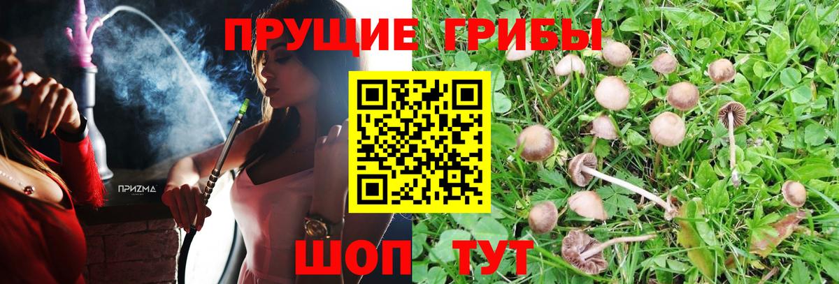 Галлюциногенные грибы MAGIC MUSHROOMS Дивногорск