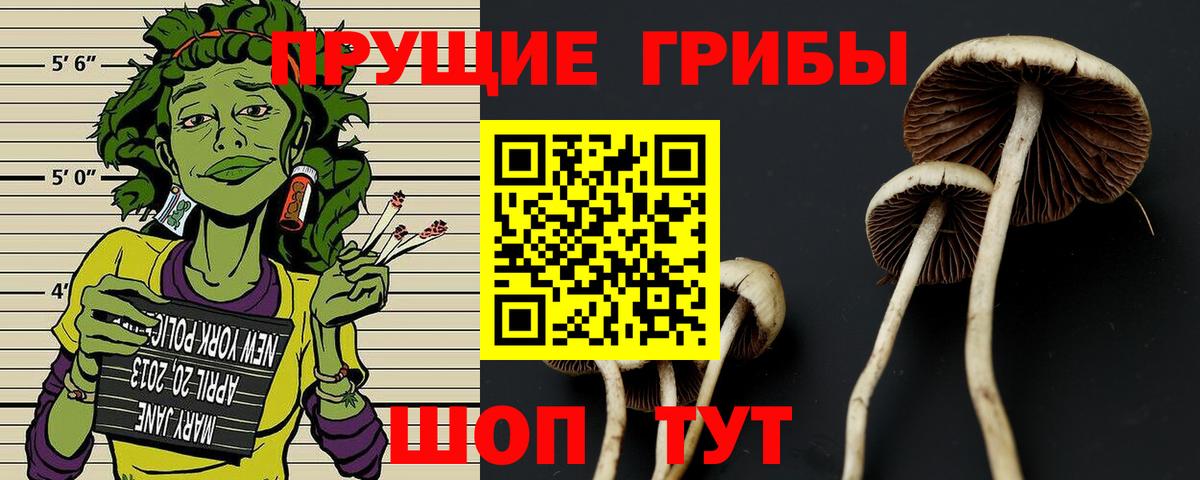 Псилоцибиновые грибы прущие грибы  Вход с VPN  Дивногорск 
